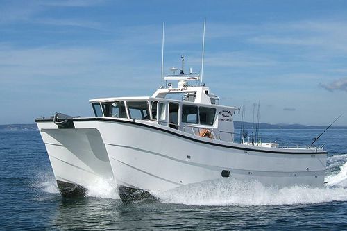 Barco profesional barco de pesca profesional - Crimson Tide - Catapult Catamarans Marine Projects Ltd - catamarán / intraborda