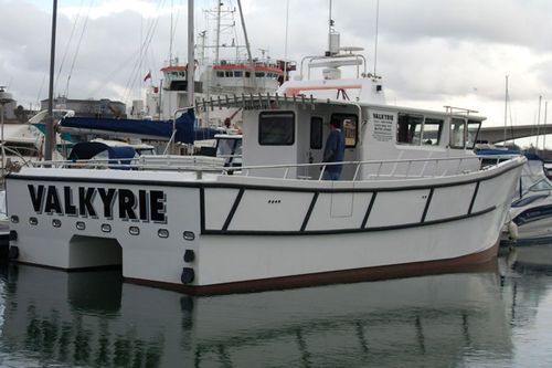 Barco profesional barco de pesca profesional - Valkyrie - Catapult Catamarans Marine Projects Ltd - catamarán / intraborda