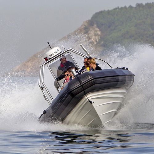 Barco profesional barco de salvamento - TX-10.0 IB - Vanguard International - intraborda / diésel / embarcación neumática semirrígida