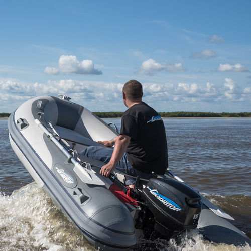 Embarcación neumática fueraborda - 310 AL - BS Marine - RIB / open / de aluminio
