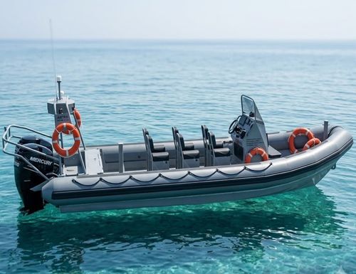 Barco profesional barco de vigilancia - MZ RIB 8.5 - AISTER ALUMINIUM SHIPYARD - fueraborda / RIB