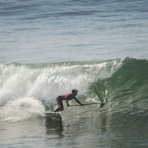 Tabla de SUP de wave - 8'1 - Indiana Paddle & Surf - epoxi / de espuma / de carbono