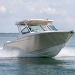 runabout fueraborda