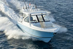 runabout fueraborda