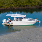 barco cabinado bimotor