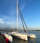 trimar&aacute;n