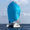 catamaránC-Cat 38Comar Yachts