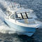 runabout fuerabordaDC 286Pursuit Boats