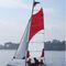 foqueNew Cat 12Forward Sailing