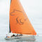 velero daysailerSE 28 LeopardSaffier Yachts