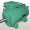 motor intrabordaLCLeroy-Somer B.V.