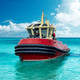 remolcador / embarcación de servicio portuario / embarcación de servicio offshore / intraborda