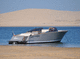 runabout intraborda / con doble consola / open / 12 personas máx.