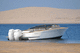 runabout fueraborda / bimotor / con doble consola / open