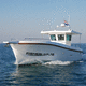 barco profesional barco de pesca profesional / intraborda / con casco rígido
