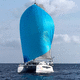 catamarán / de crucero / con 2 camarotes / con 4 camarotes