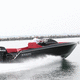 day-cruiser fueraborda / casco de planeo / open / con consola central