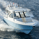 runabout fueraborda / bimotor / open / con doble consola