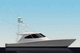 yate a motor de pesca deportiva / de crucero / offshore / convertible