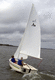 velero daysailer