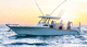 barco open fueraborda / bimotor / con consola central / de pesca