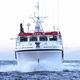 barco profesional barco de pesca profesional / intraborda / diésel