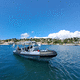 barco profesional de aluminio / barco de vigilancia / barco de trabajo / fueraborda