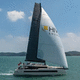 spinnaker asimétrico / para velero