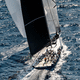 vela de viento portante / para velero de regata / para yate de vela / de poliéster