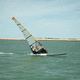 vela de windsurf de race / de regata / de competición / SDM