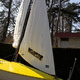 foque / para vela ligera / 505