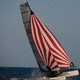 spinnaker / para multicasco de regata / de nailon / F18