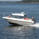 cabin-cruiser fueraborda / con cockpit cerrado / de pesca deportiva / 8 personas máx.