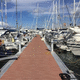 pantalán flotante / de amarre / para puerto deportivo / de hormigón