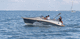 barco open intraborda / eléctrico / con consola lateral / 6 personas máx.
