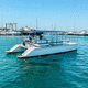 barco profesional barco de pasajeros / catamarán / intraborda / semirrígido
