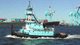 barco profesional remolcador / intraborda