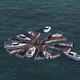 pantalán flotante / de amarre / para puerto deportivo / para barco