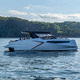 barco cabinado catamarán / intraborda / open / con doble consola