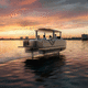 barco open catamarán / intraborda / eléctrico / con consola central