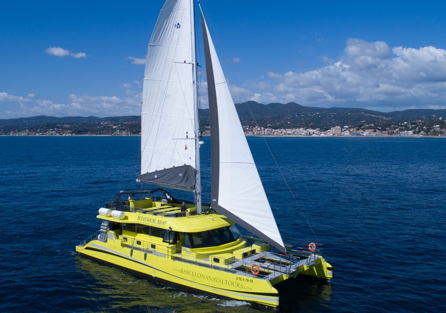 catamaran vela