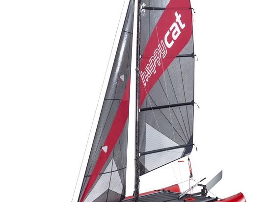 Novedad mundial: HAPPY CAT STAR CARBON
