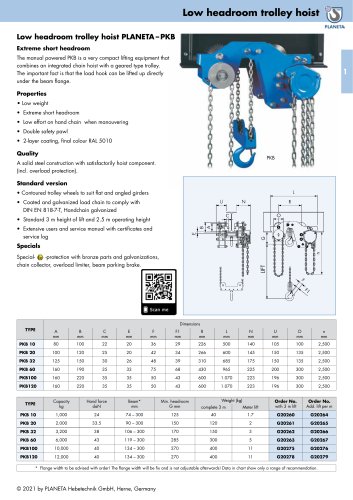 Low headroom trolley hoist