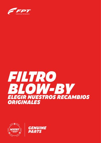 FILTRO BLOW-BY