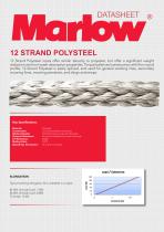 12 STRAND POLYSTEEL (2025)