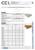 Panel Sandwich Carbonstep - 2