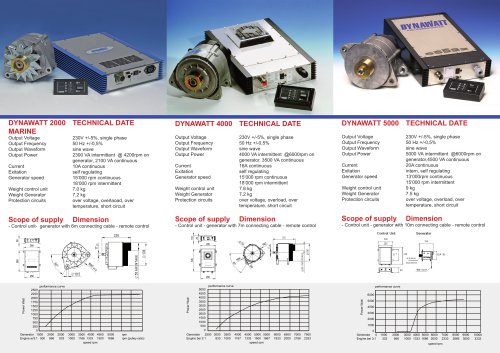 Dynawatt Flyer