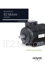 IE2 Motors