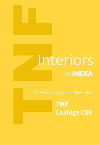 TNF-Ceilings-C80