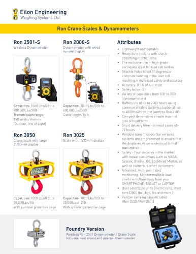 Eilon Engineering Weighing Systems Ltd.